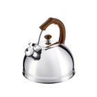 Чайник Regent inox Tea, со свистком, 3.5 л - Фото 6