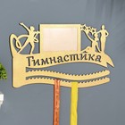 Медальница с фото "Гимнастика" жёлтый цвет, 47х27,5 см - фото 9768749