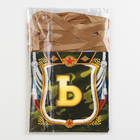 Гирлянда на ленте «Дембель», длина 215 см - фото 44789136