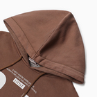 Толстовка женская НАЧЁС, цвет коричневый, размер ONE SIZE (42-46) - фото 23651089