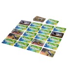 Мемо «Птицы России» - Фото 5