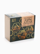 Подарочный набор «Секреты Алтая»: сбор трав 20 г, варенье из сосновых шишек 20 г, безалкогольный бальзам 100 мл. - Фото 12