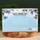 Подарочный набор новогодний «Тайны матушки зимы»: сбор трав 3 шт. × 20 г, варенье из сосновых шишек, 100 мл. - Фото 6