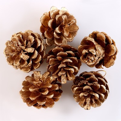 Шишки для новогоднего декора, 6 шт., золотые, 17.5×11.5×6 см