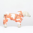 Комбинезон "Стиляга", размер XL (ДС 37 см, ОШ 41 см, ОГ  55 см)  белый/оранжевый - фото 26108730