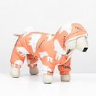 Комбинезон "Стиляга", размер XL (ДС 37 см, ОШ 41 см, ОГ  55 см)  белый/оранжевый - фото 26108731