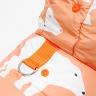 Комбинезон "Стиляга", размер XL (ДС 37 см, ОШ 41 см, ОГ  55 см)  белый/оранжевый - фото 26108735