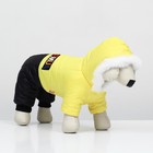 Комбинезон "Пушок", размер S (ДС 25 см, ОГ 37, ОШ 28 см), жёлтый - фото 22993956