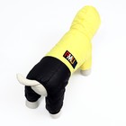 Комбинезон "Пушок", размер S (ДС 25 см, ОГ 37, ОШ 28 см), жёлтый - фото 22993958