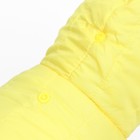 Комбинезон "Пушок", размер S (ДС 25 см, ОГ 37, ОШ 28 см), жёлтый - фото 22993959