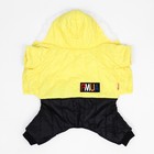 Комбинезон "Пушок", размер S (ДС 25 см, ОГ 37, ОШ 28 см), жёлтый - фото 22993963