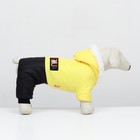 Комбинезон "Пушок", размер  M (ДС 30 см, ОГ 42, ОШ 32 см), жёлтый - фото 24618184