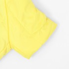 Комбинезон "Пушок", размер  M (ДС 30 см, ОГ 42, ОШ 32 см), жёлтый - фото 24618194