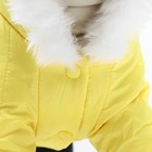 Комбинезон "Пушок", размер  M (ДС 30 см, ОГ 42, ОШ 32 см), жёлтый - фото 24618189