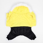 Комбинезон "Пушок", размер  M (ДС 30 см, ОГ 42, ОШ 32 см), жёлтый - фото 24618191