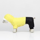 Комбинезон "Пушок", размер XL (ДС 40 см, ОГ 52, ОШ 40 см), жёлтый - фото 22993993