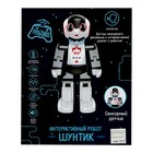 Робот радиоуправляемый «Шунтик», русская озвучка, с аккумулятором - фото 24741592