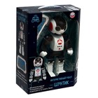 Робот радиоуправляемый «Шунтик», русская озвучка, с аккумулятором - фото 24741590