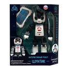 Робот радиоуправляемый «Шунтик», русская озвучка, с аккумулятором - фото 24741591