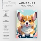 Алмазная вышивка с частичным заполнением «Малыш корги», 15×21 см, холст - Фото 1
