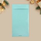 Подарочный конверт, «Снежинки», тиснение, дизайнерская бумага, 11 х 22 см - фото 24589802