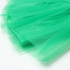 Набор для фотосессии KAFTAN "Елочка": юбка трехслойная и ободок, 25 см - Фото 2