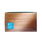 Стойкая краска для волос FASHION COLOR Студио Профешнл, песочный светло-русый, 8.7, 115 мл - фото 25328583