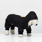 Комбинезон для животных, зимний на флисе, 3XL(ДС 36-38 см, ОГ 48-52 см, ОШ 36 см), чёрный - фото 23018227