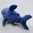 Мягкая игрушка «Акула», 55 см, цвет синий - фото 4106360