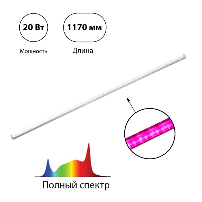 Фитосветильник светодиодный, 20 Вт, 1170 мм, IP20, полный спектр, фиолетовый, СПБ-Т5-ФИТО, IN HOME - фото 1907876885