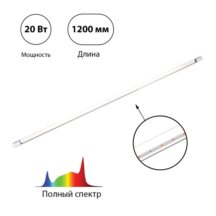 Фитолампа светодиодная, 20 Вт, 1200 мм, цоколь G13, полный спектр, LED-T8-FITO, IN HOME - Фото 1