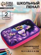Пенал школьный, 2 секции, 12.5×20.5×4 см «Совушка» - Фото 1