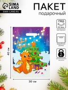 Пакет «С годом Дракончика», полиэтиленовый с вырубной ручкой, 30×40 см, 50 мкм - Фото 1