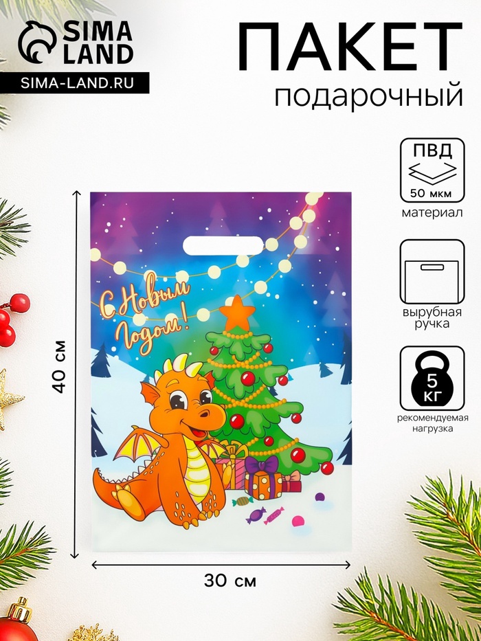 Пакет «С годом Дракончика», полиэтиленовый с вырубной ручкой, 30×40 см, 50 мкм - Фото 1
