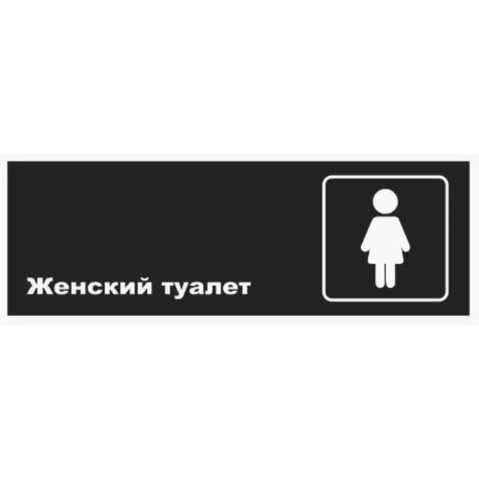 Табличка «Женский туалет», матовая, 300×100 мм
