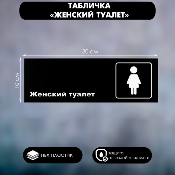 

Табличка «Женский туалет», матовая, 300×100 мм