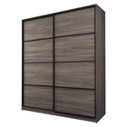 Шкаф-купе 2-х дверный Max 2/11, 2200×600×2300 мм, цвет ясень шимо тёмный - Фото 1