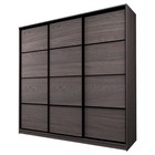 Шкаф-купе 3-х дверный Max 2/111, 2400×600×2300 мм, цвет ясень анкор тёмный - Фото 1