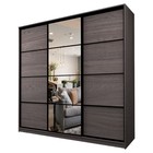 Шкаф-купе 3-х дверный Max 2/151, 2400×600×2300 мм, зеркало, цвет ясень анкор тёмный - Фото 1