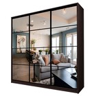 Шкаф-купе Max-МШ-23-6-24/2-555, 2400×600×2300 мм, зеркало, цвет венге - Фото 1