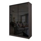 Шкаф-купе 2-х дверный Max 22, 1600×600×2300 мм, цвет ясень анкор тёмный / стекло чёрное - Фото 1