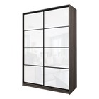 Шкаф-купе 2-х дверный Max 22, 1600×600×2300 мм, цвет ясень шимо тёмный / стекло белое - Фото 1