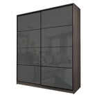 Шкаф-купе 2-х дверный Max 2/22, 2000×600×2300 мм, цвет ясень шимо тёмный / стекло тёмно-серое - Фото 1