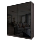 Шкаф-купе 2-х дверный Max 2/22, 2200×600×2300 мм, цвет ясень анкор тёмный / стекло чёрное - Фото 1