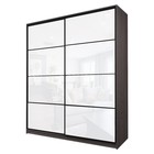 Шкаф-купе 2-х дверный Max 2/22, 2200×600×2300 мм, цвет ясень анкор тёмный / стекло белое - Фото 1