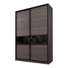 Шкаф-купе 2-х дверный Max 99, 1600×600×2300 мм, цвет ясень анкор тёмный / стекло чёрное - Фото 1