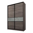 Шкаф-купе 2-х дверный Max 99, 1600×600×2300 мм, цвет ясень шимо тёмный / стекло светло-серое - Фото 1