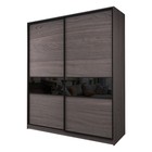 Шкаф-купе 2-х дверный Max 2/99, 2000×600×2300 мм, цвет ясень анкор тёмный / стекло чёрное - Фото 1