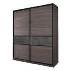 Шкаф-купе 2-х дверный Max 2/99, 2200×600×2300 мм, цвет ясень анкор тёмный / стекло тёмно-серое - Фото 1