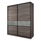 Шкаф-купе 2-х дверный Max 2/99, 2200×600×2300 мм, цвет ясень шимо тёмный / стекло светло-серое - Фото 1